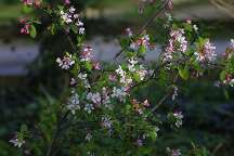 meIMG_4135.jpg