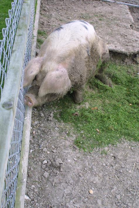 meIMG_4193.jpg