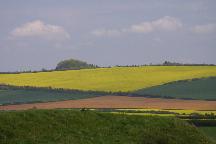 meIMG_4150.jpg