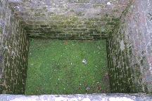 meIMG_4167.jpg
