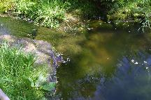 meIMG_4170.jpg