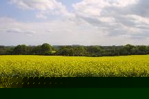 meIMG_4172.jpg