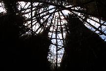 meIMG_4173.jpg