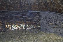 meIMG_4175.jpg