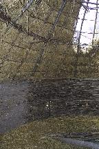 meIMG_4179.jpg