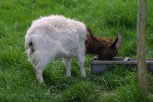 meIMG_4189.jpg