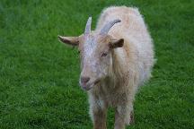 meIMG_4190.jpg