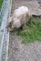meIMG_4193.jpg