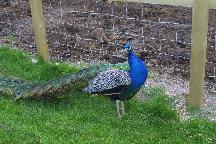 meIMG_4203.jpg