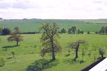 meIMG_4242.jpg