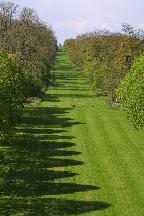 meIMG_4247.jpg
