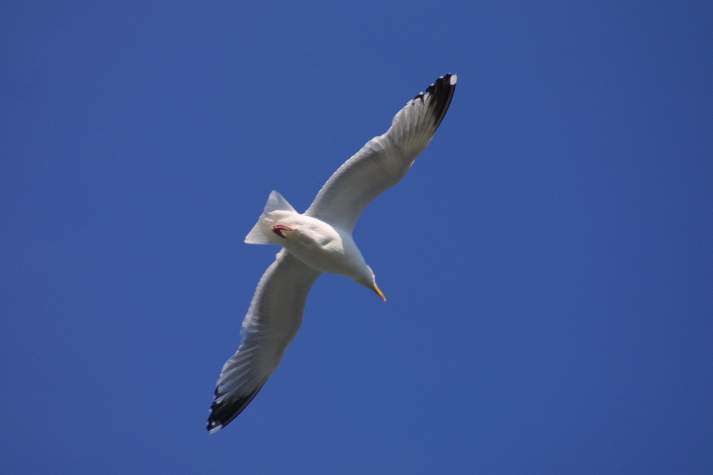 meIMG_4445.jpg