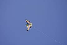 meIMG_4438.jpg