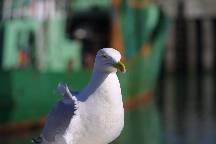 meIMG_4448.jpg
