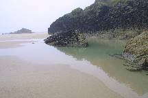meIMG_4460.jpg