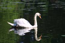 meIMG_4478.jpg
