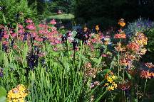 meIMG_4479.jpg