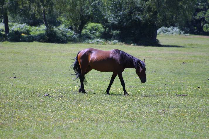 meIMG_4519.jpg
