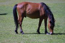 meIMG_4536.jpg