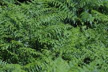 meIMG_4553.jpg