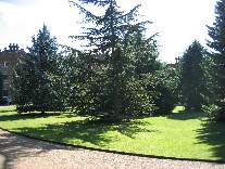 meIMG_0961.jpg