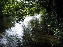 meIMG_0972.jpg