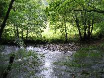 meIMG_1068.jpg