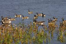 meIMG_4610.jpg