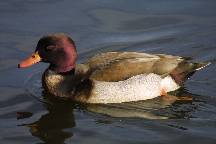meIMG_4623.jpg