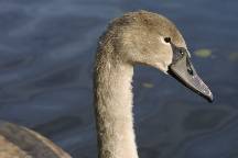 meIMG_4625.jpg