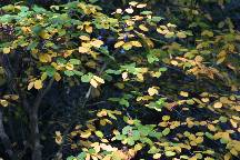 meIMG_4634.jpg