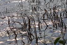 meIMG_4639.jpg