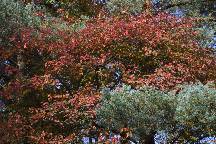 meIMG_4645.jpg