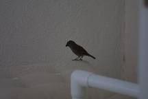 meIMG_4694.jpg