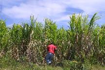 meIMG_4755.jpg
