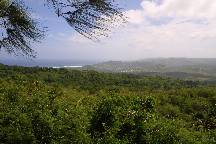 meIMG_4758.jpg