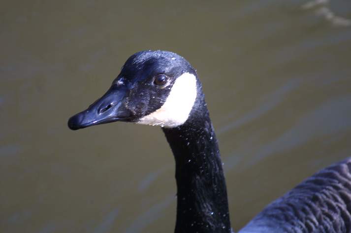 meIMG_4836.jpg