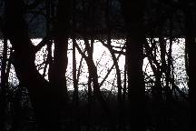 meIMG_4829.jpg
