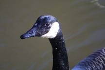 meIMG_4836.jpg