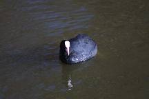 meIMG_4837.jpg