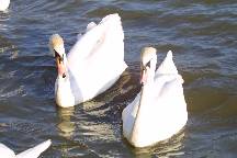 meIMG_4840.jpg