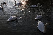 meIMG_4849.jpg