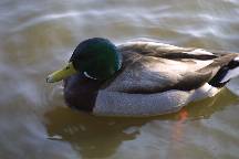 meIMG_4852.jpg
