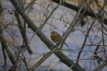 meIMG_4856.jpg