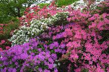 meIMG_4871.jpg