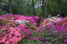 meIMG_4874.jpg