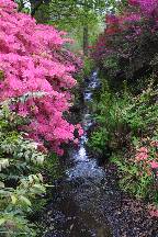 meIMG_4879.jpg