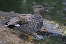 meIMG_4885.jpg