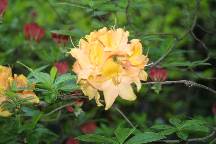 meIMG_4893.jpg