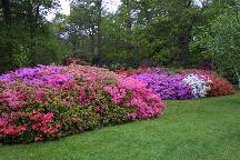 meIMG_4896.jpg